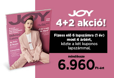 JOY slider desktop